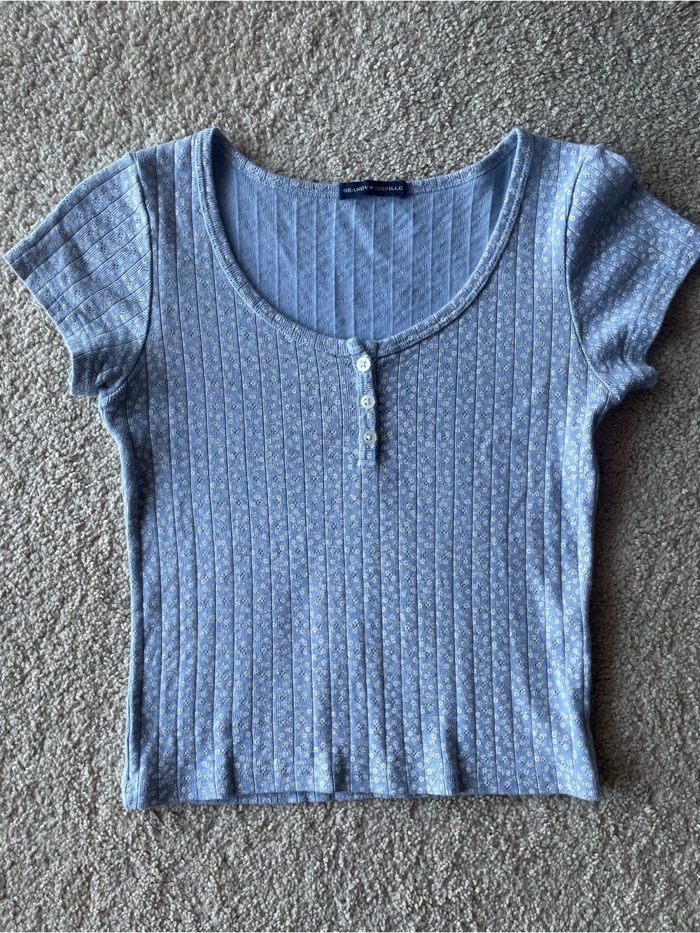 Brandy Melville Light Blue Short Sleeve Ribbed Floral Henley Top Buttons Small